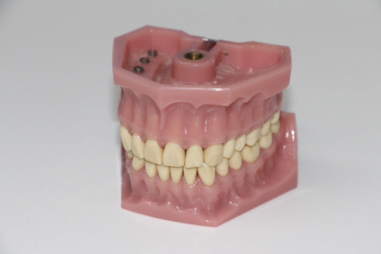 zęby, dentysta, stomatologa
